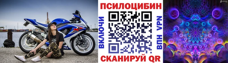 цена наркотик  Апшеронск  Псилоцибиновые грибы прущие грибы 